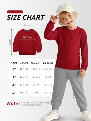 Toddler Boys Sweatshirts 4 Pack - Long Sleeve Cotton Shirts for 2T-6Y, Black, Dark Gray, Navy Blue, Red, 5T Variation