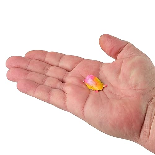 Berkley Gulp! Saltwater Surf Bytes Sand Crabs Fishing Baits, Pink Fuze, 1in, Ideal for Surf Fishing, Infused with Scent, Great for Redfish, Pompano, Flounder and More, Small