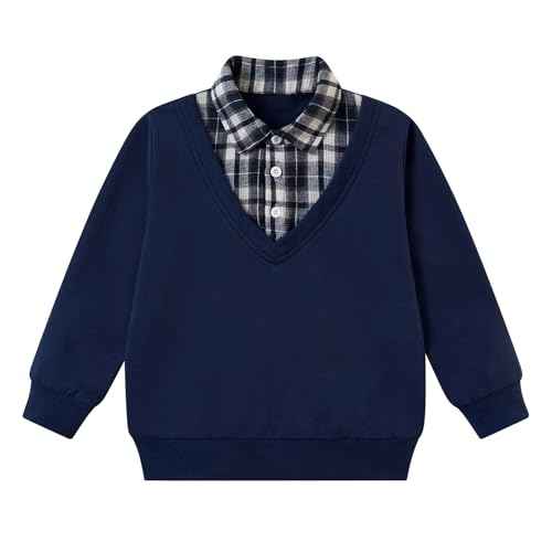 ALISISTER Toddler Boys Sweatshirt Crewneck Thin Long Sleeve Shirts 2-6 Years