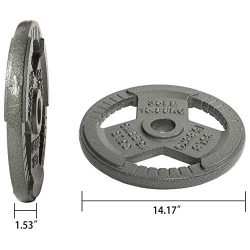 Fitvids Cast Iron Plate Weight Plate for Strength Training and Weightlifting, Olympic or Standard, Multiple Sizes
