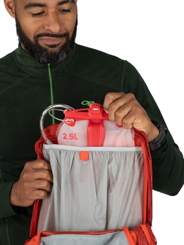 Osprey Talon Pro 20L Men's Hiking Backpack with Hipbelt, Silver Lining