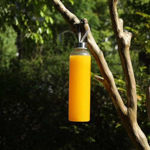 8 Pack 27oz Clear Water Bottles with Lids for Travel and Storage - Variation 8