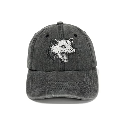 Embroidered Baseball Hats for Men and Women