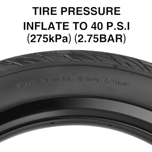 20 Inch Electric Bike Tire 20x3.0 Fat Tire for Snow, MTB, Tricycle - 2 Pack, No Tube