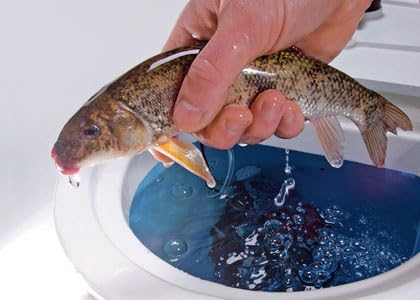 FISH KRACK - Baitfish Enhancement and Keeping Formula Additive for Minnow Buckets, Livewells and Bait Tanks. Keeps Holding Fish Alive Longer, Healthier, and Improves Performance Levels.