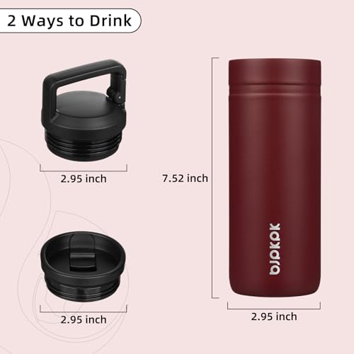 Insulated Travel Water Bottle 20 oz Stainless Steel Cinnabar Red
