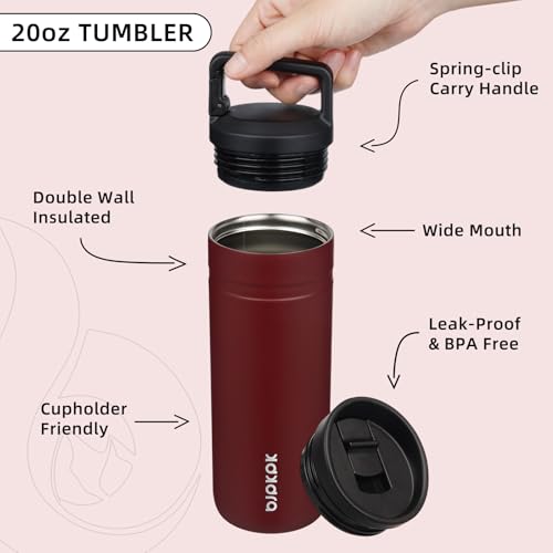 Insulated Travel Water Bottle 20 oz Stainless Steel Cinnabar Red