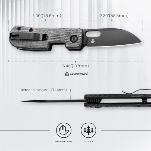 Kizer Banish Folding Pocket Knife Black Micarta Handle 2.3" 154CM Steel Blade