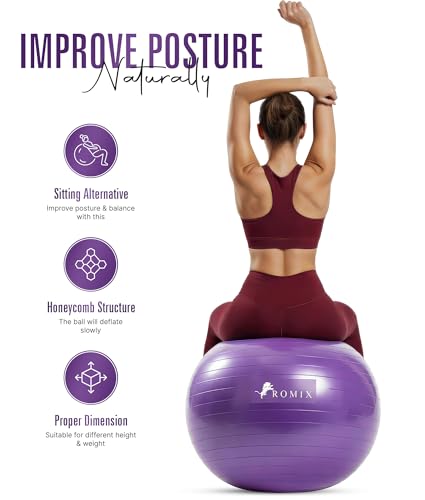 ROMIX Pregnancy & Exercise Yoga Ball 30 Inch Purple with Pump