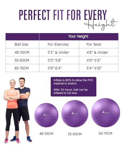 ROMIX Pregnancy & Exercise Yoga Ball 30 Inch Purple with Pump