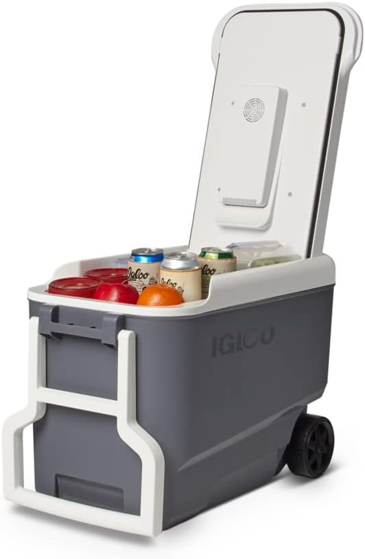 Igloo Iceless Thermoelectric Cooler, Portable Cooler Electric, Plug-in 12V Camping Fridge Cooler, Electric Ice Chest, Hielera Electrica