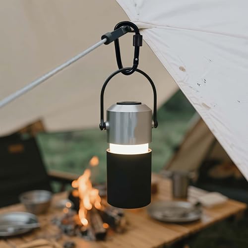 5 Pack D-Ring Carabiner Keychains with Key Rings ? Perfect for Camping, Fishing, Hiking, and Outdoor Adventures