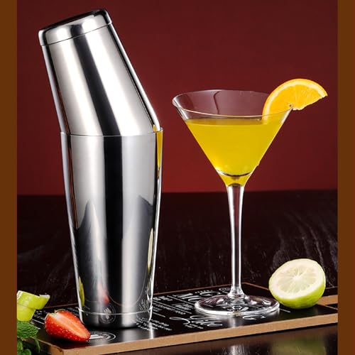 Mwellewm Cocktail Shaker Set Bartender Kit 12 Pcs Silver - Boston Drink Mixer