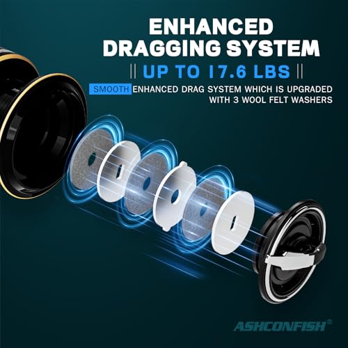 Ashconfish DF Series Spinning Reel Saltwater & Freshwater Fishing Reel, 2000 Deep Spool, Lightweight Nylon/Fiberglass Frame, 7+1BB, 5.2:1 Gear Ratio