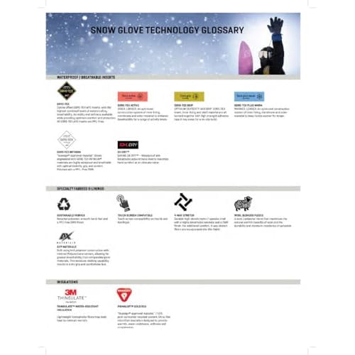 Dakine Men's Scout Snowboard & Ski Gloves