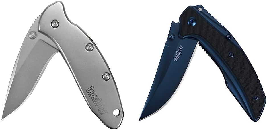 Kershaw Chive Pocket Knife, 1.9 Inch 420HC Steel Blade, Speedsafe Assisted Opening, Made in the USA, (1600)