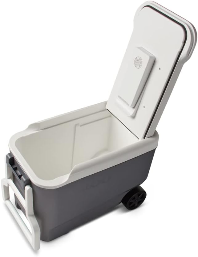 Igloo Iceless Thermoelectric Cooler, Portable Cooler Electric, Plug-in 12V Camping Fridge Cooler, Electric Ice Chest, Hielera Electrica