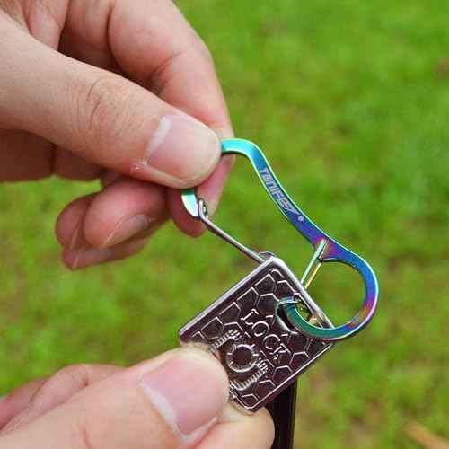 TONIFE Carabiner Clip 2-Pack, Stainless Steel Carabiner Keychain, Spring Snap Hook for Dog Leash and Key Ring