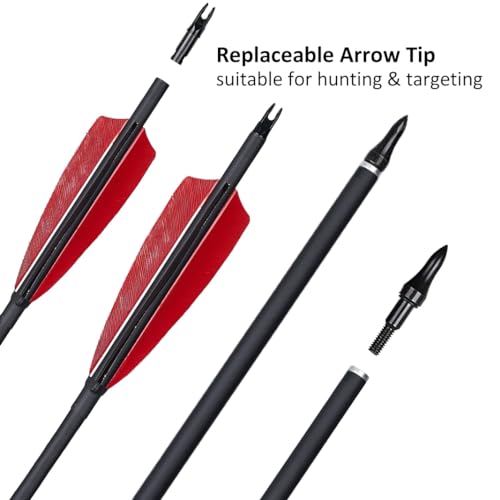 12 Pcs Archery Arrow Set with Feathers and Removable Tips for Recurve Longbow and Compound Bow - 30 Inch