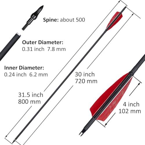 12 Pcs Archery Arrow Set with Feathers and Removable Tips for Recurve Longbow and Compound Bow - 30 Inch