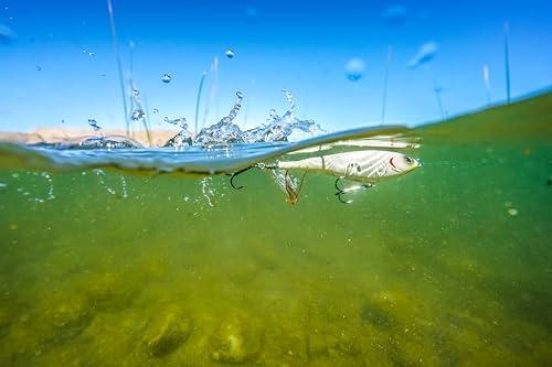 Berkley Choppo Topwater Fishing Lure - Ghost White, 90mm - Cupped Propeller Tail, Sharp Fusion19TM Hooks