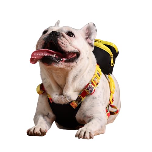 PawLook Dog Backpack to Wear with Chest Harness Self Carrier dogbag with Additional Pocket for Poop Bag Anti Slip Stylish Dog Bag for Your pet Gimme Five Serie Black Small