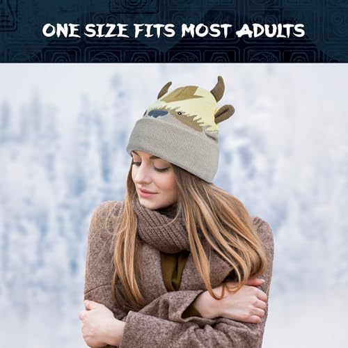 Avatar The Last Airbender Knitted Winter Beanie Hat Multi One Size - Concept One