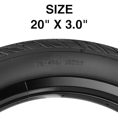 20 Inch Electric Bike Tire 20x3.0 Fat Tire for Snow, MTB, Tricycle - 2 Pack, No Tube