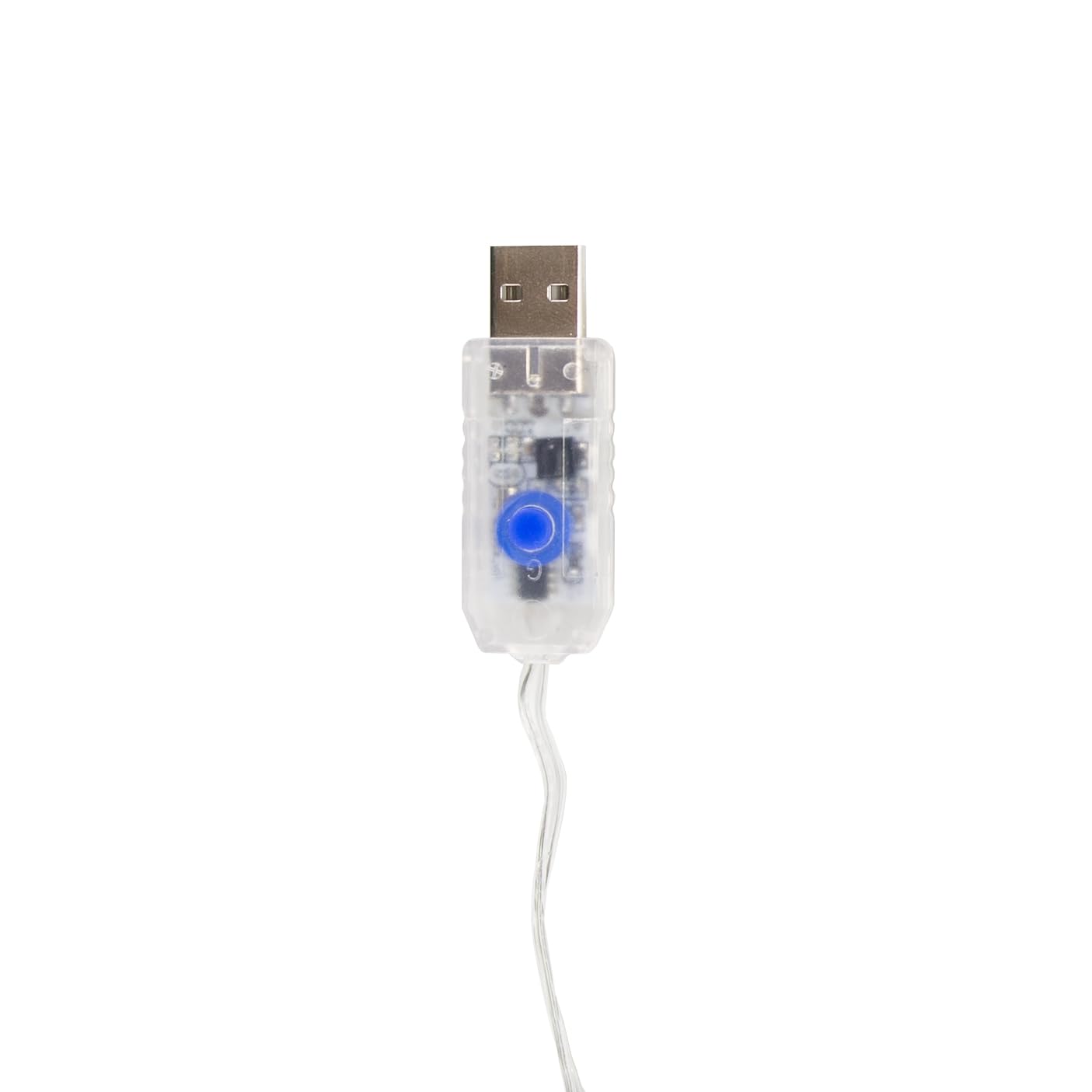 Stansport 117-100 30' LED Outdoor String Lights with Remote