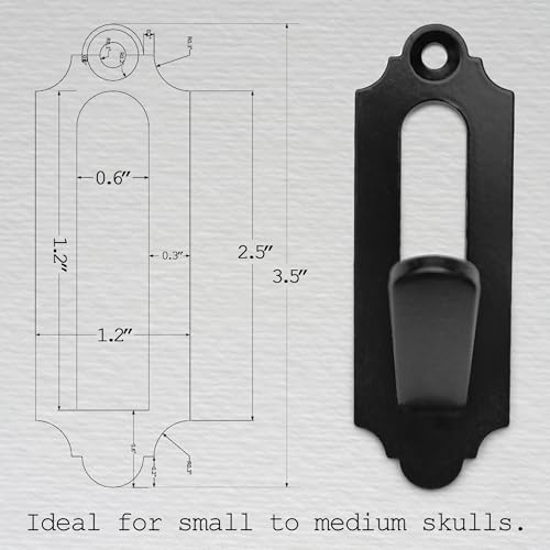European Mount Skull Hanger Kit - Medium Size, 3.65" Length, 6 Pack for Small to Medium Animals