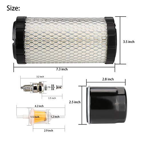 Golf Cart Tune Up Kit for EZGO RXV 2008 & TXT 2010 Gas Models - Filters & Spark Plug