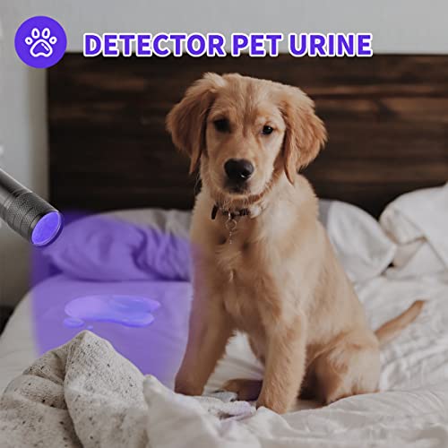 10 Pcs UV Black Light Flashlights Bulk, 9 Led 395-400nm Mini Blacklight Handheld Portable Torch Pet Urine Detector for Bed Bug, Hair, Dog Cat Urine and Stains Batteries Included