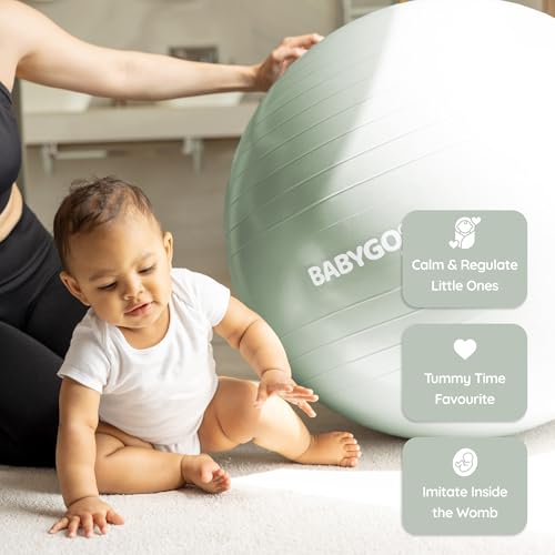 Sage 65cm Babygo Birthing Ball for Pregnancy & Labor with Pregnancy Book