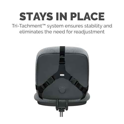Fellowes Professional Series Back Support, Black (8037601)