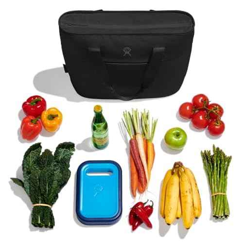 Hydro Flask 20 L Insulated Tote 2 Black