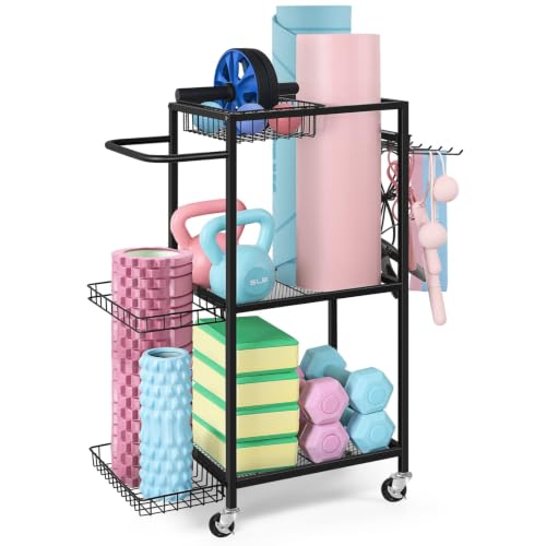 Yoga Mat Storage Rack with Dumbbell & Equipment Organizer - Black