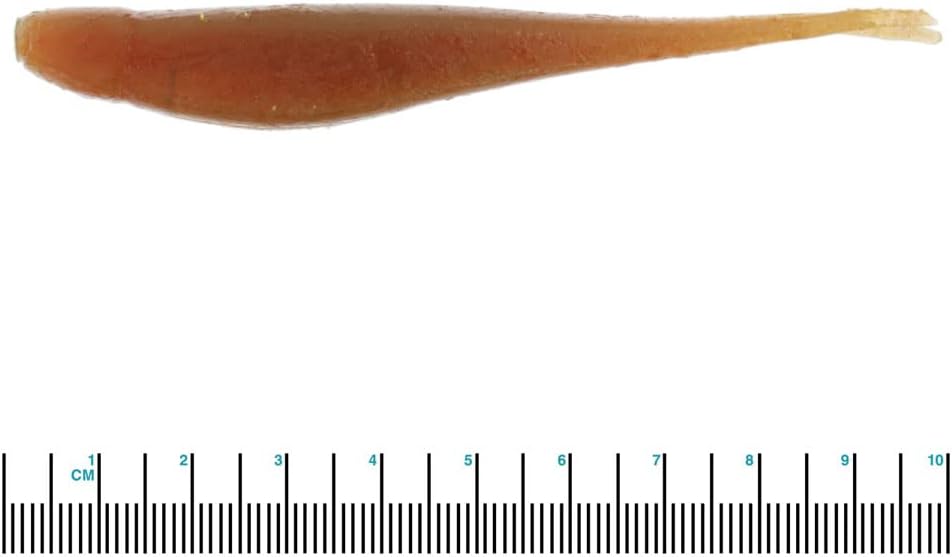 Z-MAN Scented Jerk ShadZ 4 inch Soft Plastic Jerkbait 5 Pack