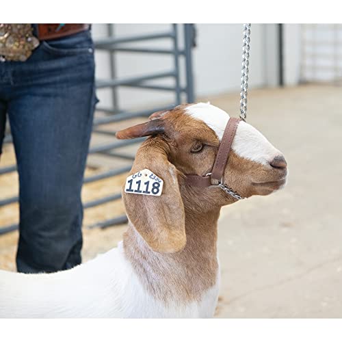 Livestock Adjustable Brahma Webb Goat Halter - Brown, Large