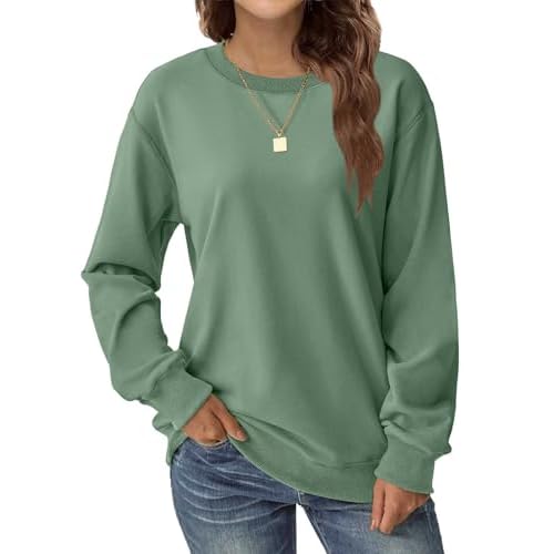 Womens Long Sleeve Sweatshirt Casual Crew Neck T Shirt Cute Pullover Tops Lightweight Loose Fit Sweater 2025 Fall Outfit