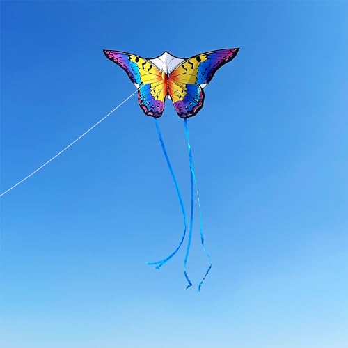 Honbo Rainbow Butterfly Kites for Kids & Adults, Easy to Fly, 300ft Line, Beginner Outdoor Kites for Family & Beach