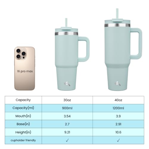 Insulated 30oz Water Bottle with Handle and Straw Lid - Blue Haze