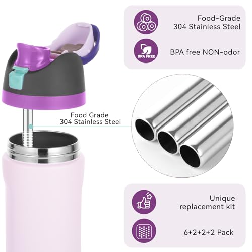 12PCS Replacement Straws Compatible with Owala 24oz/32oz with 2 Cleaning Brushes 6 Reusable Stainless Steel Straw 2 Water Bottle Seal Ring 2 Replacement Stopper for Owala Freesip (Grey)