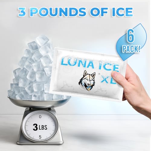 LUNA ICE Dry Ice Packs for Shipping XL - Long lasting ice packs - 24+ Hour Freeze Power - BPA Free - 6 Pack Bulk 3 lb ? Hielo Seco - Reusable Gel Bricks for Food