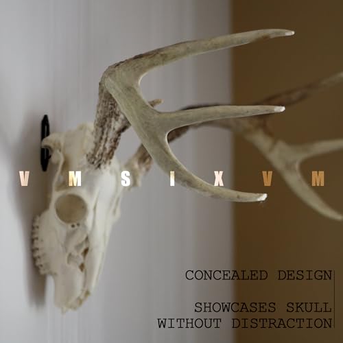 European Mount Skull Hanger Kit - Medium Size, 3.65" Length, 6 Pack for Small to Medium Animals