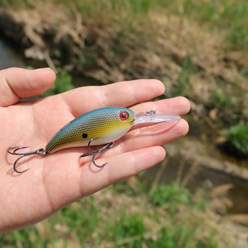 Saltwater & Freshwater Diving Crankbait Lures - Bass Trout Walleye Pike