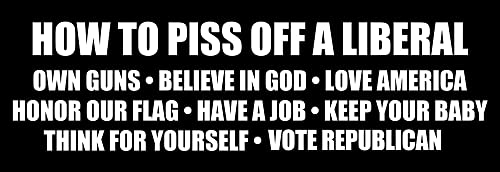 Funny Conservative Bumper Sticker - Support Guns, God, America, and Traditional Values