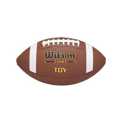 Wilson TDY Official Composite Football, age 11-14
