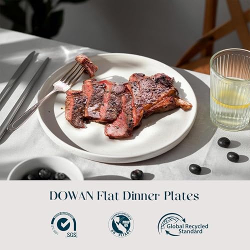 10.5 Inch Large Dinner Plates Set of 6 - White Ceramic, Microwave & Dishwasher Safe