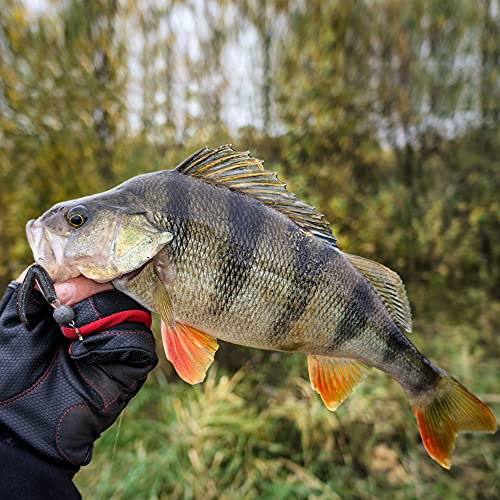 4 Inch 30 Pcs Salt-Impregnated Senko Worms Kit - Mixed Colors for Bass Fishing