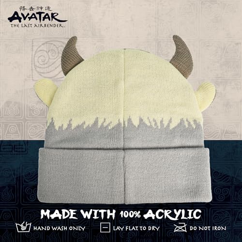 Avatar The Last Airbender Knitted Winter Beanie Hat Multi One Size - Concept One